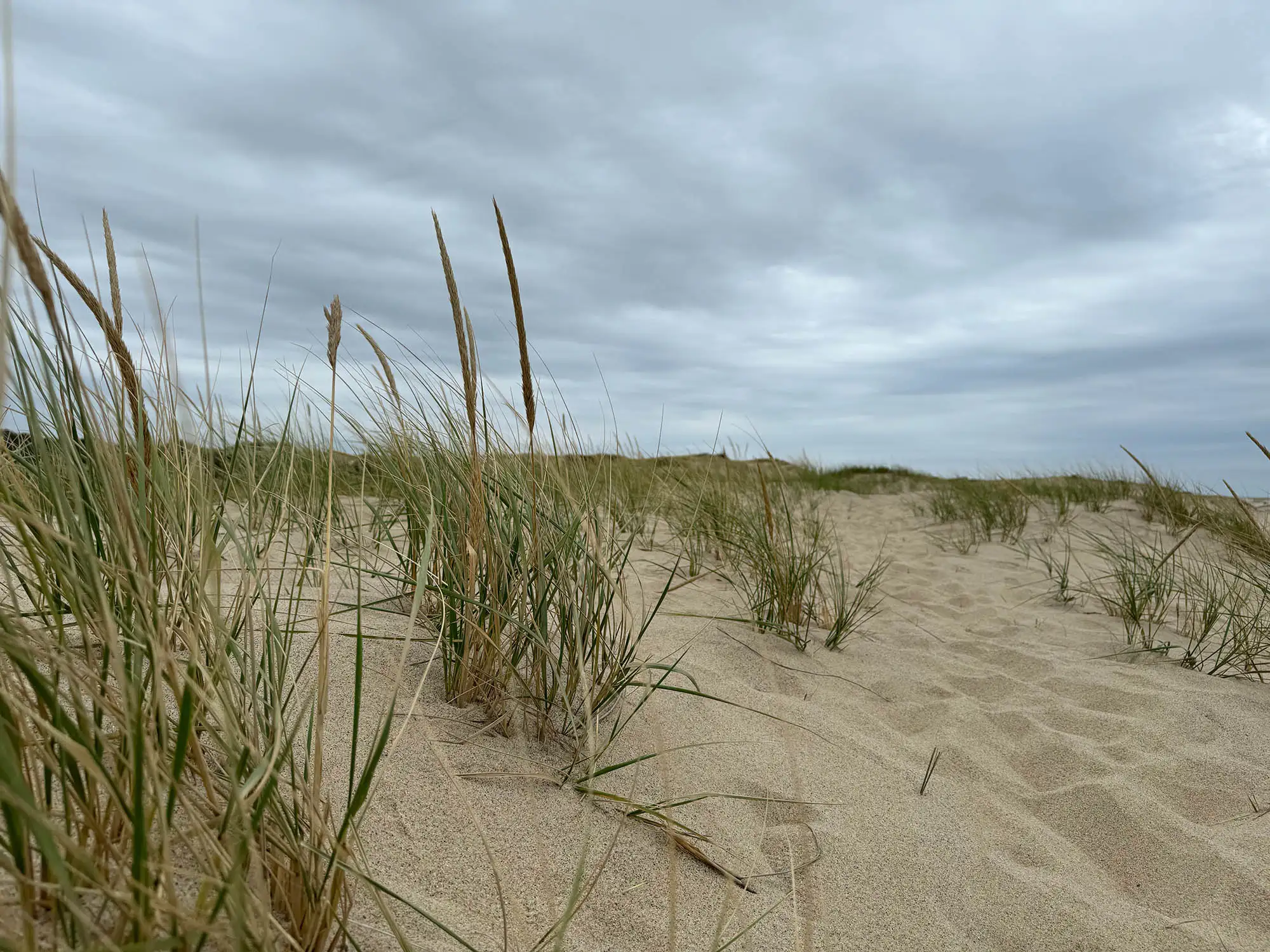 Dune Crest Hotel - Cape cod