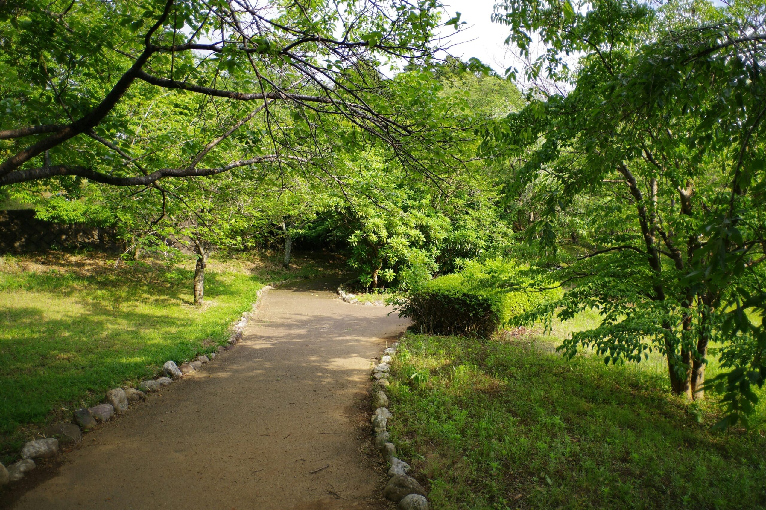 Trails & Nature Access